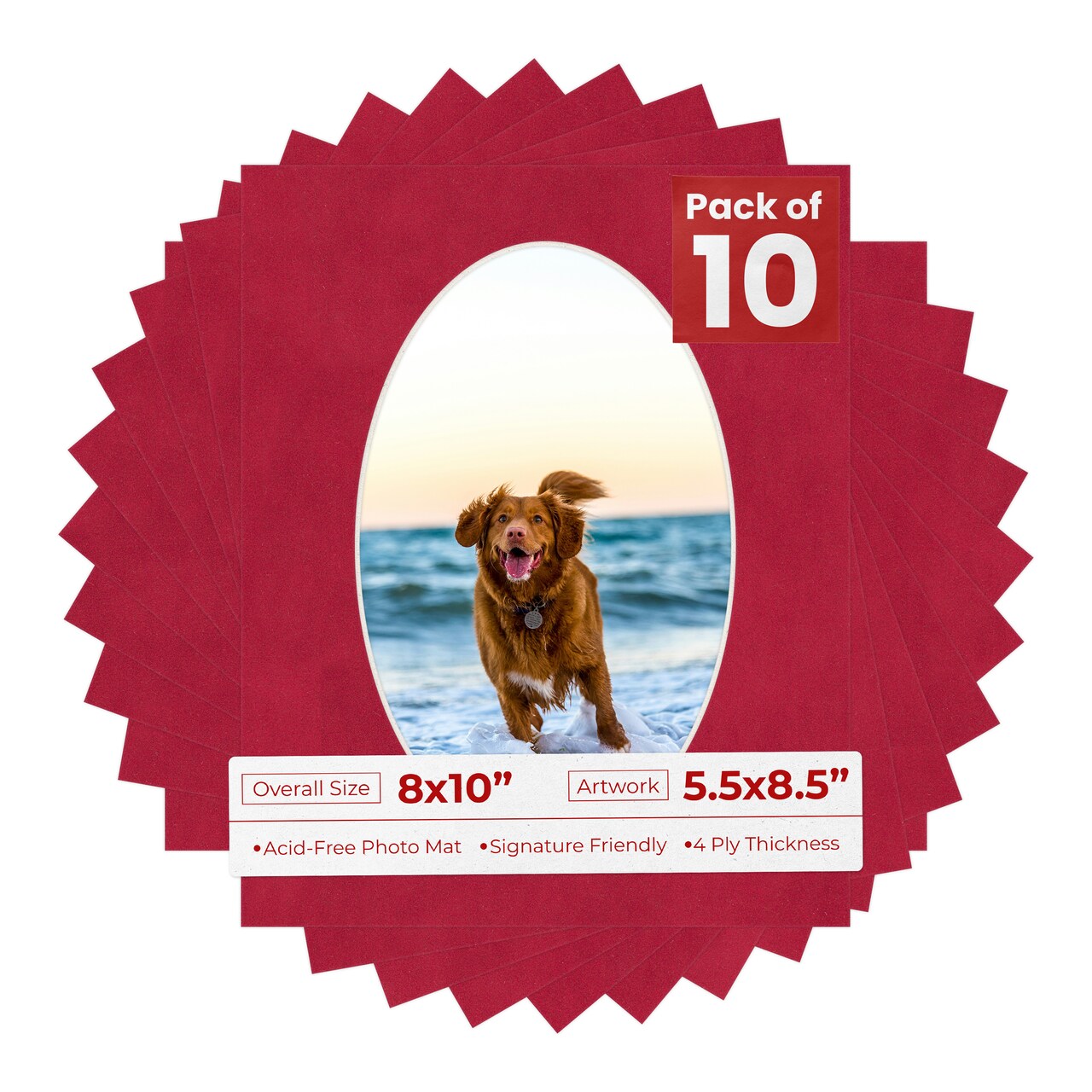 Red Suede Mat Board for 8x10 Frames - Oval Opening for 5.5x8.5 Photos